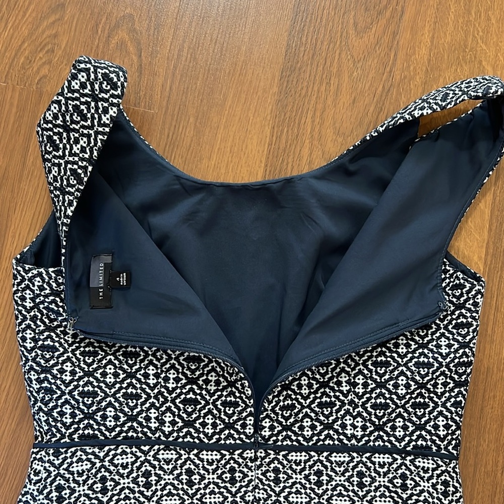 The Limited Dress - Picture 5 of 6